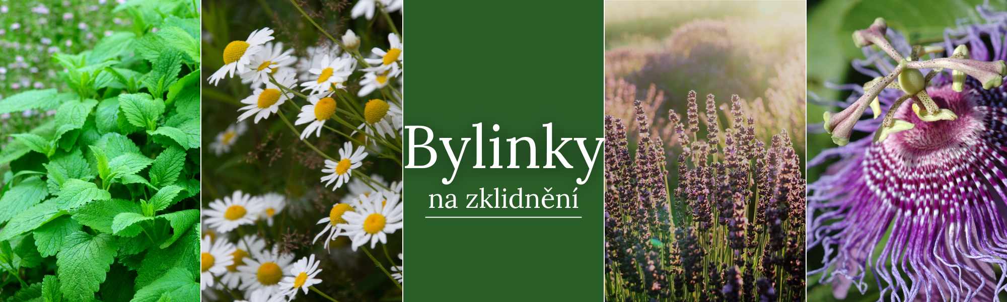 NB LI + BLOG banner (8)